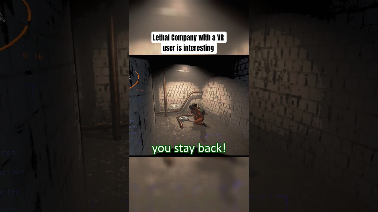 and it was very chaotic. #lethalcompany #lethalcompanyclips #funny #vr #memes