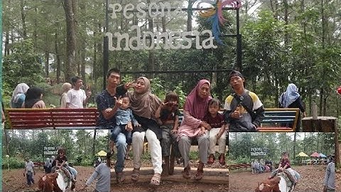 Liburan ke hutan pinus malino seru naik kuda & main outdoor playground#malino hutan pinus