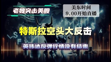 美股直播｜特斯拉空头大反击  英伟达反弹行情没有结束  #美股 #英伟达 #英特尔 #特斯拉 #soun #苹果 #投資   #美国超微公司 #crcl #amd