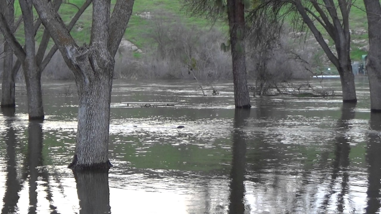 San Joaquin River at Lost Lake Park Tues 2 21 17 (Water Releases from