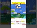 carbon cycle within 60 seconds #bscbotany #biology #botany  #neet