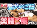 炊くだけ薬膳ご飯を食べさせてみた！【トイプードル】【多頭飼い】【サリーとダリオ】vol.34