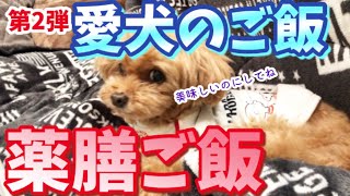 炊くだけ薬膳ご飯を食べさせてみた！【トイプードル】【多頭飼い】【サリーとダリオ】vol.34