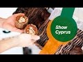 Малый бизнес на Кипре. Часть 1: иностранцы