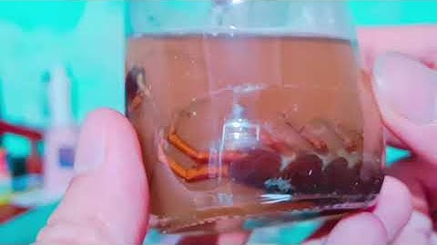 Cách ngâm rết xoa bóp