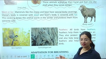 Animals Life | Science Class 5 Chapter 2