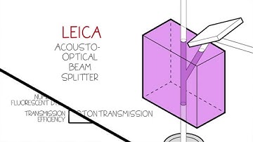 Acousto-Optical Beam Splitter - Leica TCS SP8 AOBS