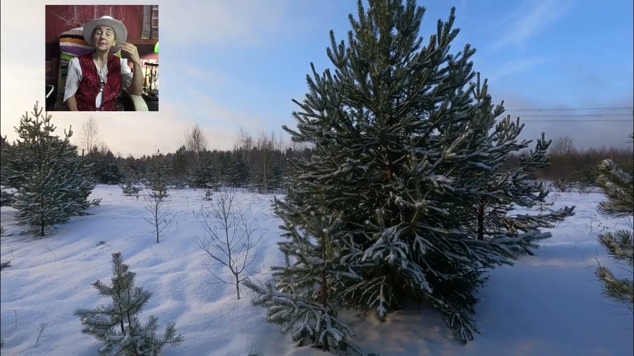 Пандемия греха. Пандемия греха