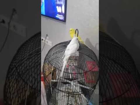 youtube.com