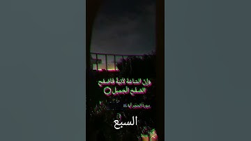 احترم القرآن الكريم 🤍#عبدالرحمن_مسعد #عبدالرحمن #قران_كريم #اكسبلور