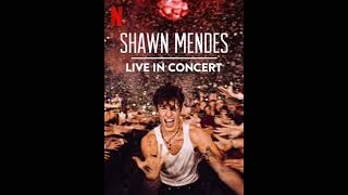 Shawn Mendes - Stitches (Live at Toronto)