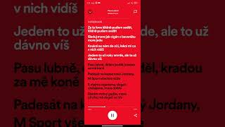 Dollar Prync - Pasu Lubne(Spotify text)