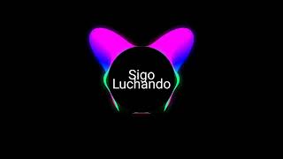 Sigo Luchandomsica Original De 350oficialparati a  