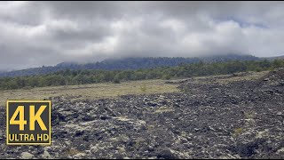 Rocky Mountain Road Nature Walk 4K (With Ambient Nature Sounds And Music)