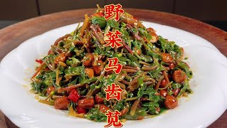 野菜马齿苋最好吃的做法，很多人都没吃过，低脂低卡，比肉有营养【超子美食】