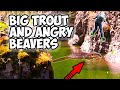 Fly Fishing in Amazing and Dangerous Canyon