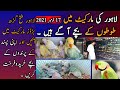 Lahore Fateh Garh Birds Market Latest Update HAJVERY Birds Shop Visit | PIC 18 November 2021