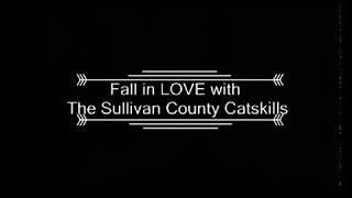 1065 Lake Shore Drive, White Lake, NY ~ Sullivan County Catskills
