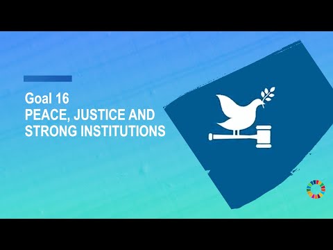 Goal 16: Promote just, peaceful and inclusive societies