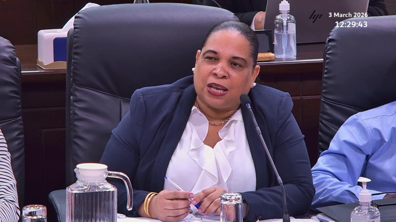 Budget 2026 Committee Stage - Sitting Tuesday 3 March 2026 Part 2