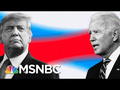 Crashing In Polls, Trump Pushes False Claims And Gets Fact-Checked On Live TV | MSNBC