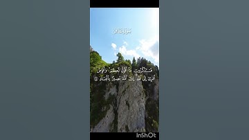 "فستذكرون ما أقول لكم و أفوض أمري إلى الله إن الله بصيرٌ بالعباد"تلاوة هادئة تريح🎧للقارئ مصطفى جبل