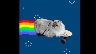 GATTO SULLO SKATEBOARD! 🐈🛹