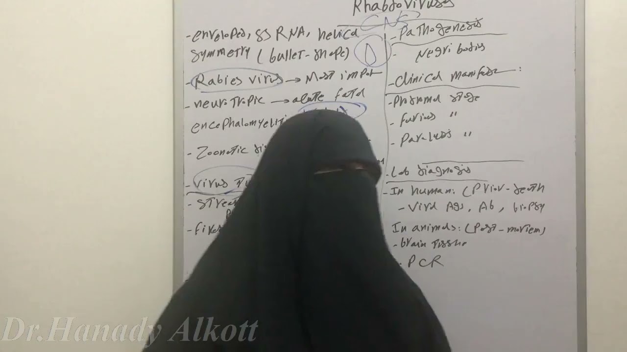 🦮🦡🦨 Rabies virus Part 1 مرض السعار 🐕‍🦺🐈🐈‍⬛🦮