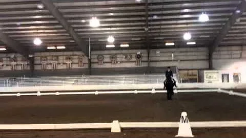 Ginger Coleman and Zorro - YR Team Test