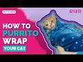 How to purrito wrap a cat  ryercat
