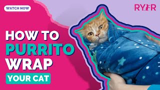 How to Purrito Wrap a Cat - RYERCAT by RYERCAT 9,564 views 1 year ago 1 minute, 8 seconds