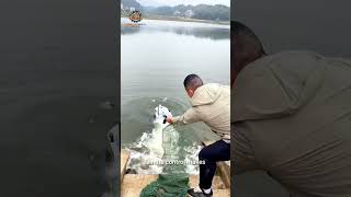 the whole process of the electric remote-controlled net boat