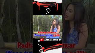 Langit Biru sumiati anekasafaritv langitbiru kendangkempul lagunostalgia short 