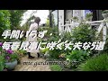 【手間いらず・・毎春見事に咲く丈夫な花5選】素敵な庭を作るお手伝い/ガーデニング初心者さんが、植える花に迷っていたら是非見てくださ～い。