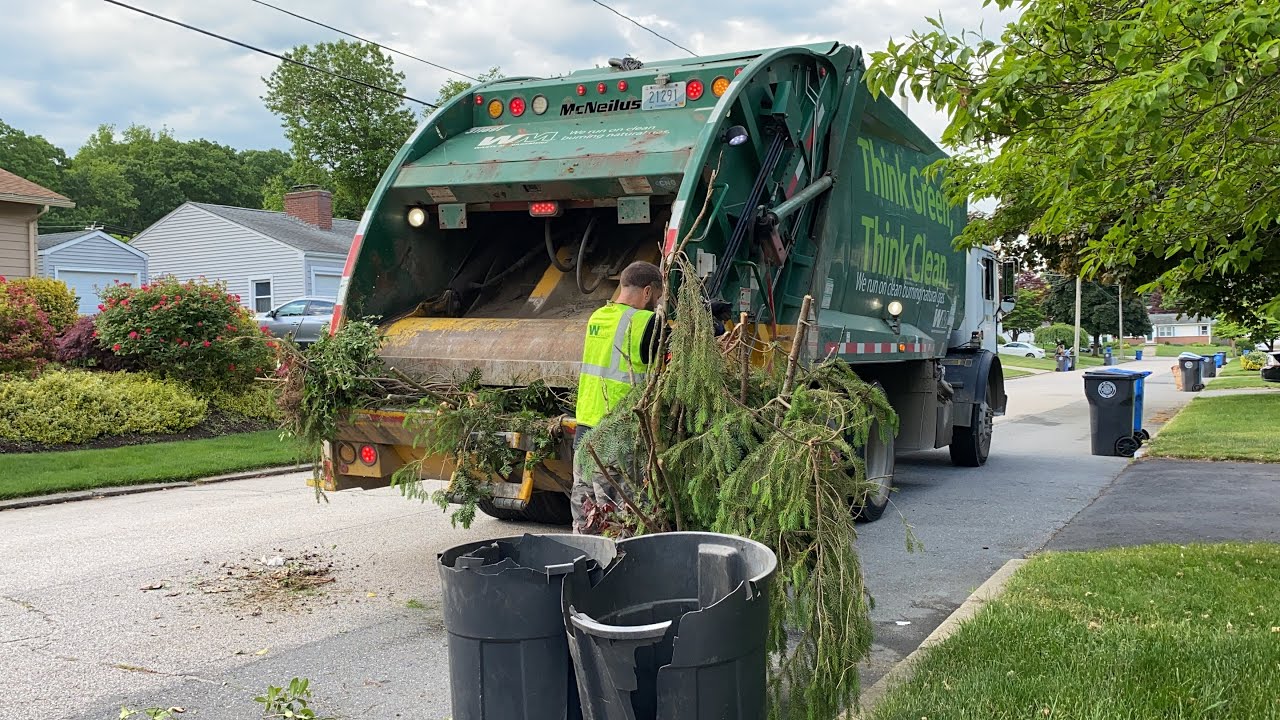 311691 Back on Yard Waste