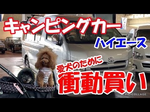 【ハイエースキャンピンガー】18歳トイプードルの為にキャンピングカーを買いました！