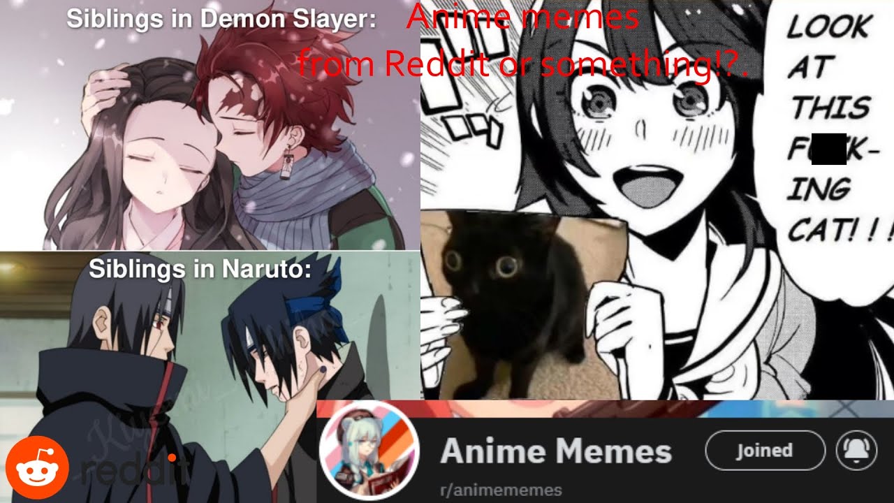 Reacting to some anime memes from Reddit! (Are they good?) 