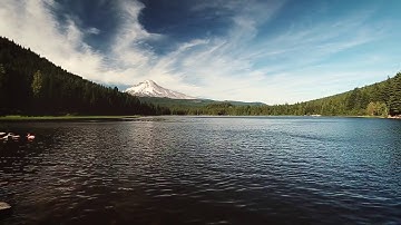 In The Branches - Particles Collide (Trillium Lake, Oregon)