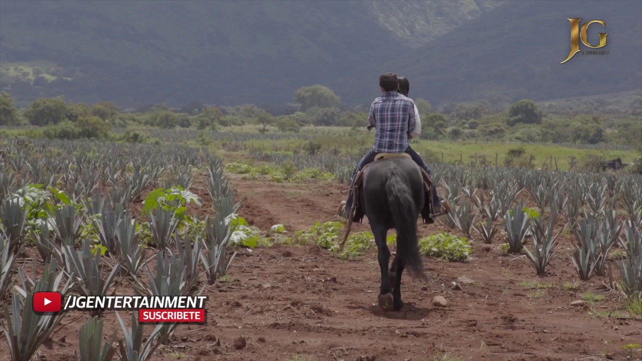 Los Plebes Del Rancho De Ariel Camacho's Song Por ...
