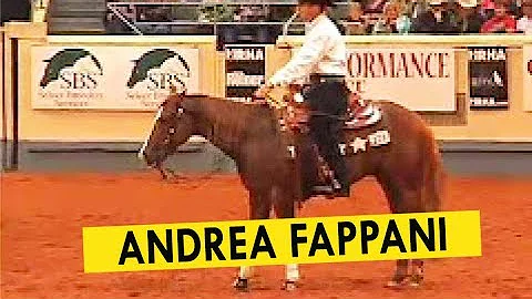 NRHA Futurity 2007 - Andrea Fappani - Best of Fina...