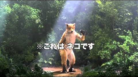 映画『ジャッジ！』劇中きつねうどんＣＭ