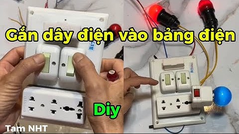 Hướng dẫn cách gắn dây điện vào bảng điện 2 công tắc điều khiển 2 bóng đèn #Trick #diy #tool #CN9