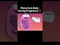Part 1 Placenta &amp; Baby During Pregnancy 🤰 #educational #nurse #funny #ytshorts #nursing #pregnancy