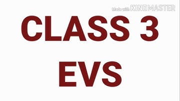 Class 3 EVS Chapter 22 Left-Right