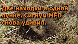 Две находки в одной лунке. Сигнум MFD снова удивил.