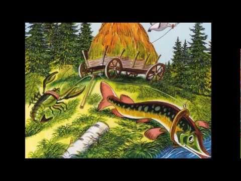 Рак рекомендации Рак рекомендации