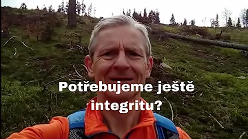 K čemu se používá pojem integrita?