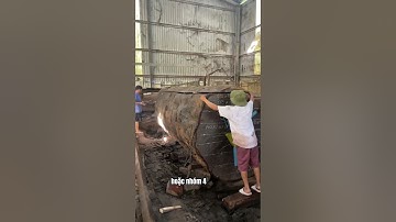 Sự khác biệt giữa gỗ cẩm hồng và gỗ lim | Sơn Sập Gỗ