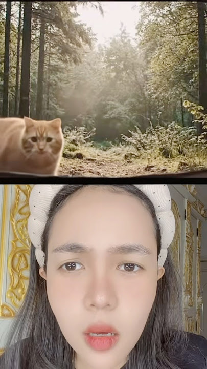 KUCING NYA IS NOT SOPAN YES #shorts #fypyoutube #helloniaaa cr by: @anatoxich