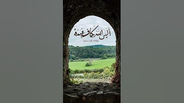 #عبدالرشيد_صوفي #سورة الزمر #الله #islamicvideo #اكسبلور #تلاوة_خاشعة_تلاوة_هادئة_تلاوة